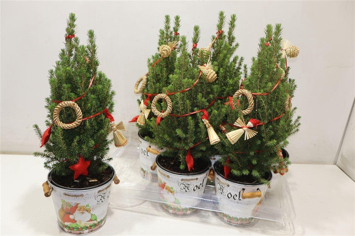 <h4>arr8 Kerstboom Versierd In Zinken Emmer</h4>