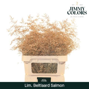 Lim Bel L90 Klbh. Zalm