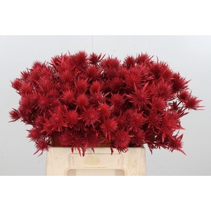 Eryn Magnetar Kl Bh Rood