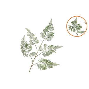 Silk Fern Forest Green 107cm Nm