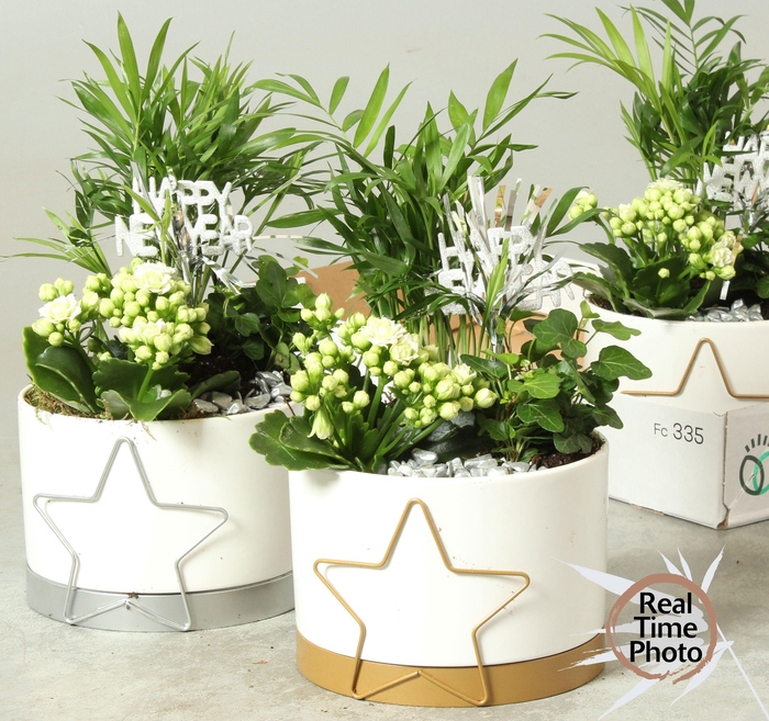 <h4>ARR KAMERPL</h4>