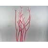 Mitsumata Flaked Light Pink 3pc Bunch