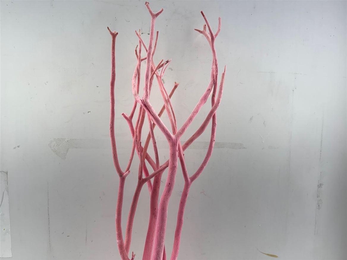 <h4>Mitsumata Flaked Light Pink 3pc Bunch</h4>