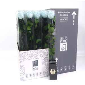 Rosa Preserved Stem 50cm Delightful Blue Tiffany