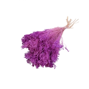 Dried flowers Broom Bloom 50-55cm