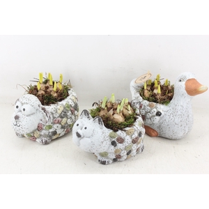 arr4 Bollenmix PL - Dierenmix