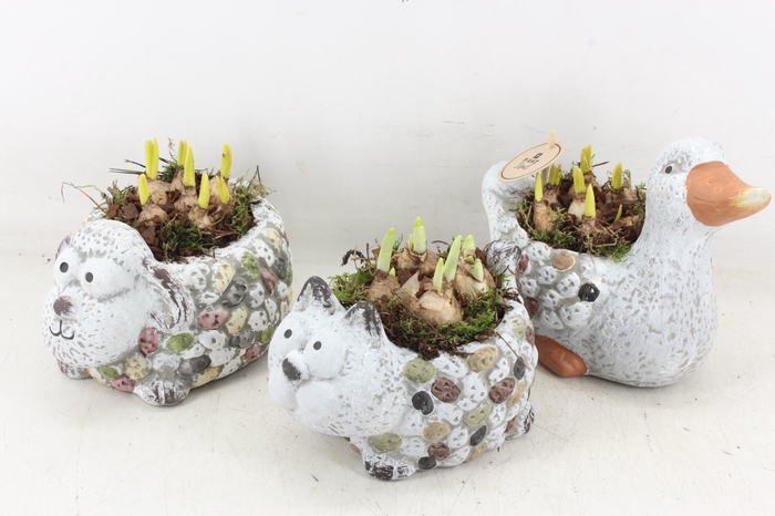 <h4>arr4 Bollenmix PL - Dierenmix</h4>