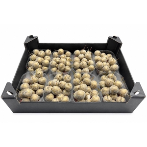 WAX APPEL H%