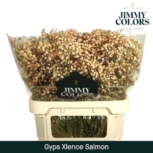 Gyps Xlence L80 Salmon