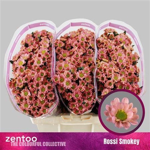 Chr S Rossi Smokey 1300gr