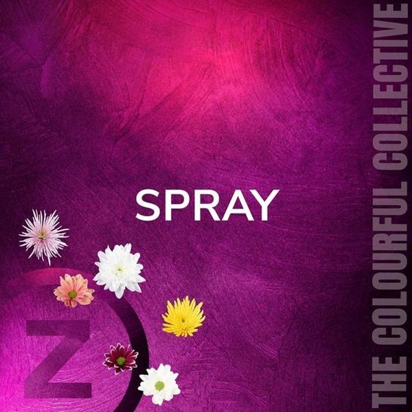 <h4>CHR T ALTAJ</h4>