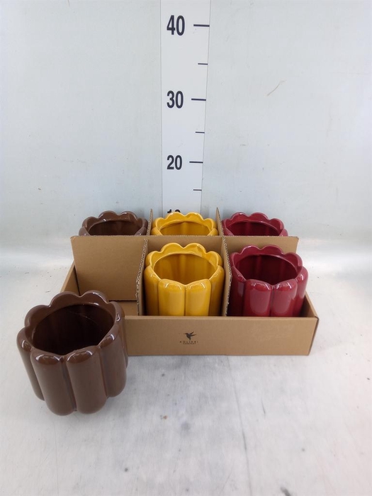 <h4>Pot   ...Keramische H%</h4>