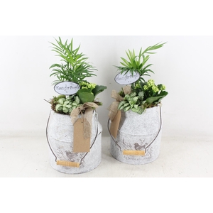 arr2 TD - Zink melkbus - wit