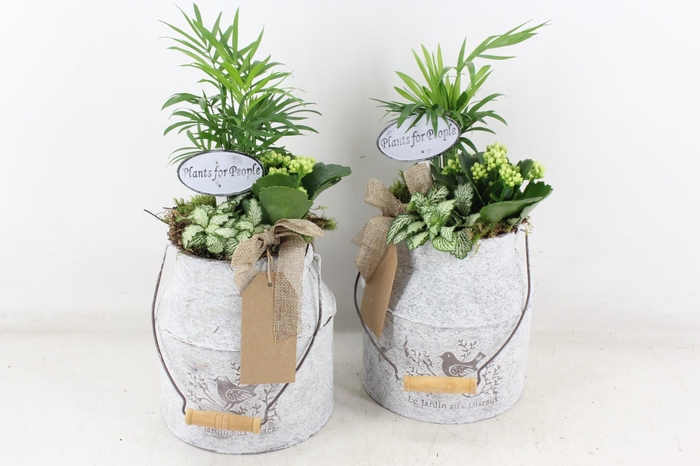 <h4>arr2 TD - Zink melkbus - wit</h4>