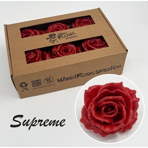 R Zijde Supreme Caramel Wx