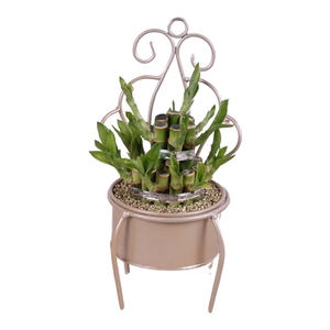 Lucky Bamboo Round 2Small in ø12cm Metal Gold Seat Frame