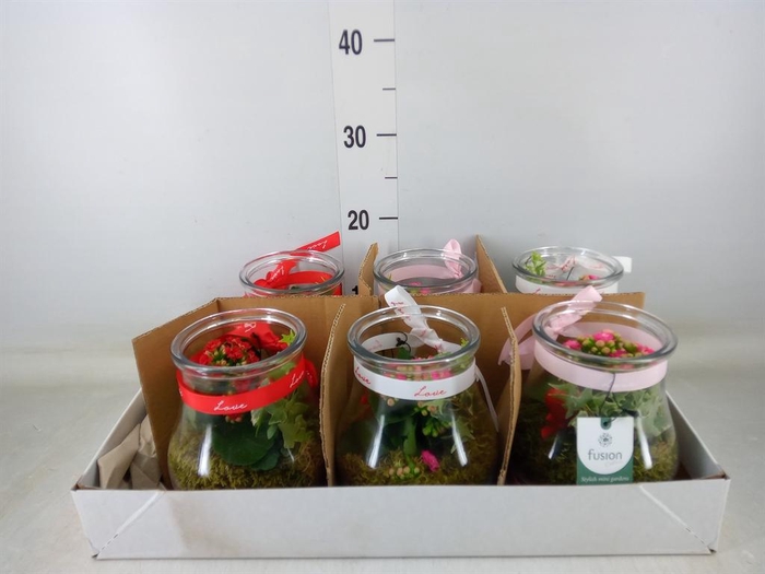 Planten  ..in schaal H%