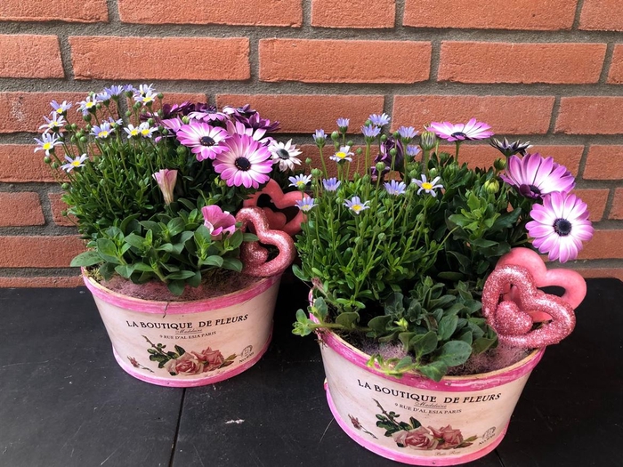 <h4>Arr (16) La Boutique de Fleurs</h4>