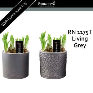 1175T - Living Grey (Tete a Tete)