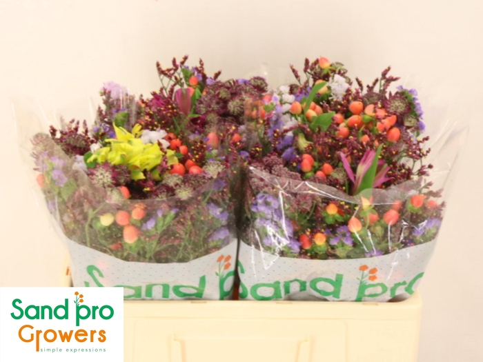 <h4>GEM ZOMERBOEKET</h4>