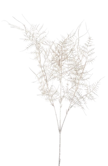 SILK FLOWERS - ASPARAGUS SPRAY METALLIC CHAMPAGNE 61CM