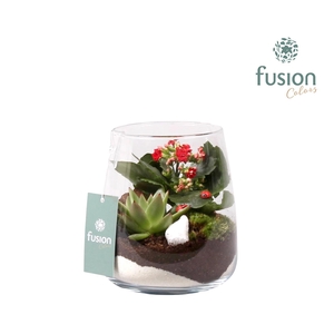 Glas Alzada met arrangement en lieveheersbeestjes