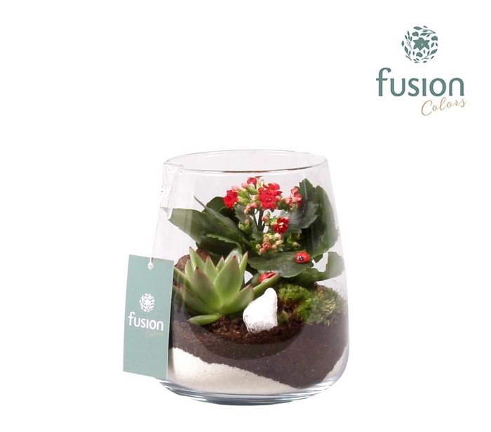 <h4>Glas Alzada met arrangement en lieveheersbeestjes</h4>