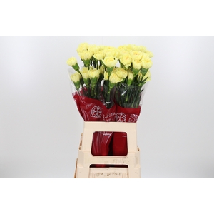 Di St Hermes Yellow