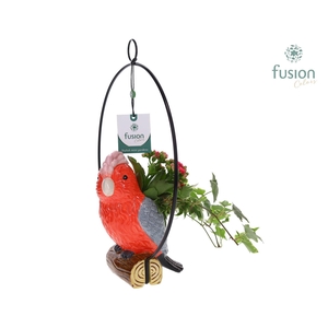 Keramiek vogels in de ring met Arrangement