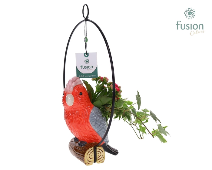 <h4>Keramiek vogels in de ring met Arrangement</h4>