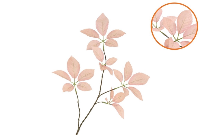 <h4>Silk Leaf Elder Champagne 81cm Nm</h4>