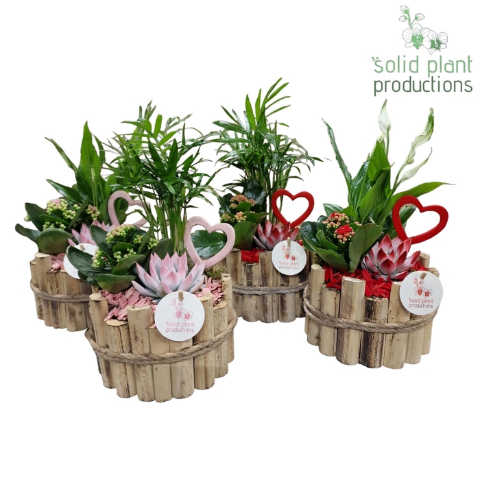 <h4>HVSCE001 Milano Small Red/Pink Mix</h4>