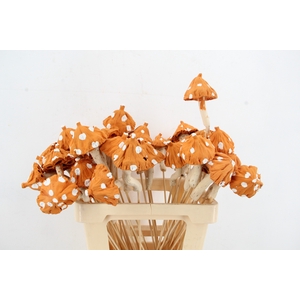 Stick Mushroom Lotus Orange