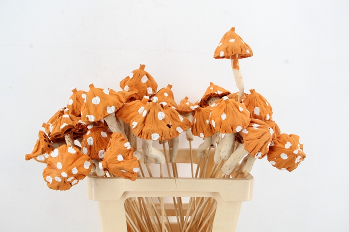 <h4>Stick Mushroom Lotus Orange</h4>