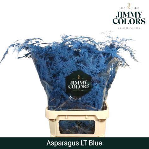 <h4>Aspa lang getopt Blue</h4>