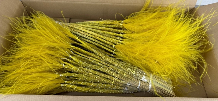 <h4>DF Stypha 60cm Bs Yellow</h4>