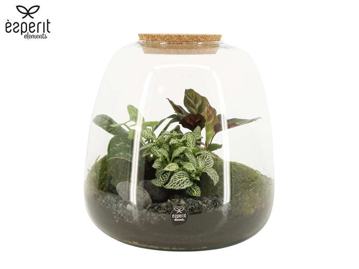 <h4>90425: Terrarium arrangement</h4>