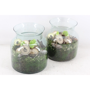 arr4 Hyacint PL - Glas vaas nobles 285/5