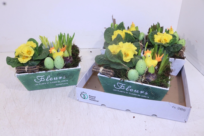 <h4>ARR TUINPLANTEN</h4>