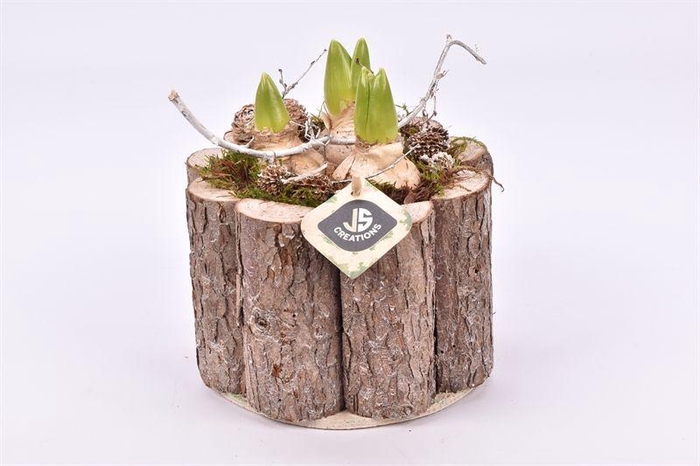 <h4>Hout schors rond 17</h4>