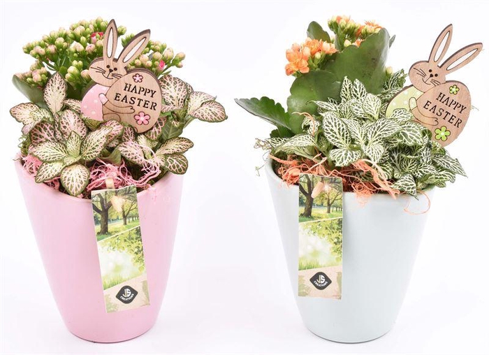 <h4>Keramiek pot kl. mix 11.5cm</h4>