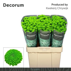 Chrys santini AAA Peptalk