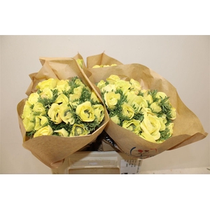 Anem Marianne Powder Yellow