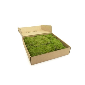 Rock Moss Gepreserveerd Ca. 0,40 M2