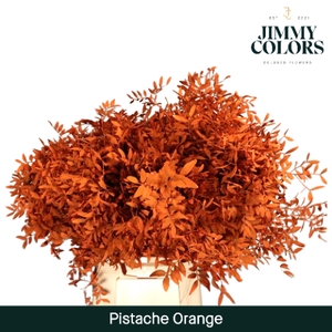 Pistache L50 Klbh. oranje