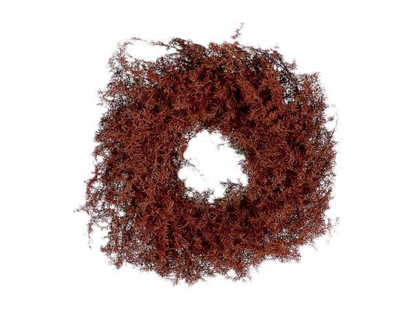 Wreath Asparagus D30