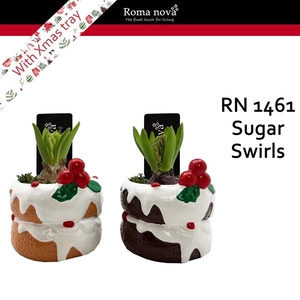 Arrangementen Hyacinthus 6%