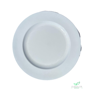 PLASTIC PLATE WHITE SHINY D28