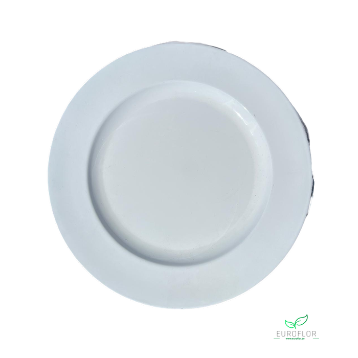 <h4>PLASTIC PLATE WHITE SHINY D28</h4>