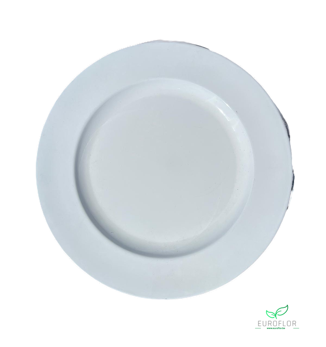 PLASTIC PLATE WHITE SHINY D28